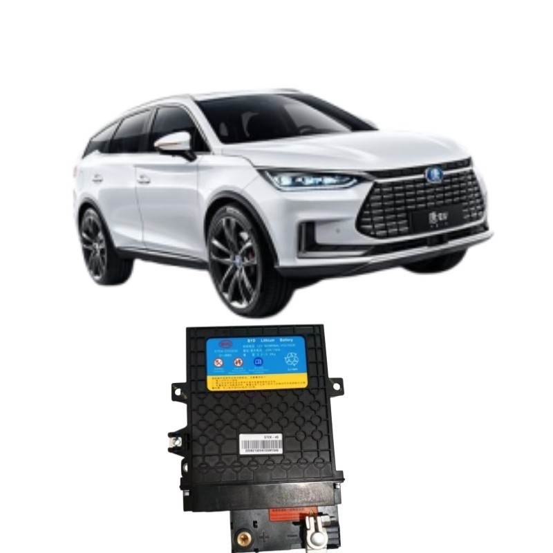395*291*109mm 검은 BYD Tang EV 시작 철 배터리 STEK-3703030 성능